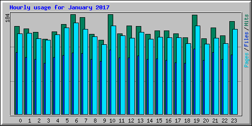Hourly usage for January 2017