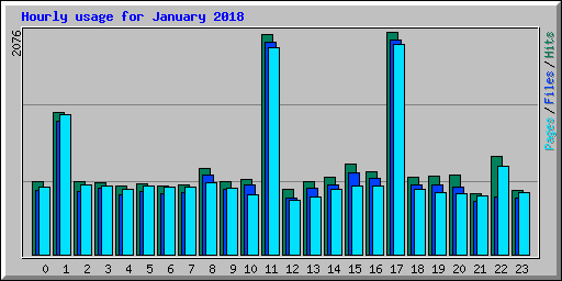 Hourly usage for January 2018