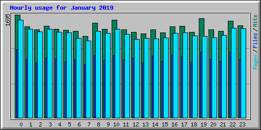 Hourly usage for January 2019