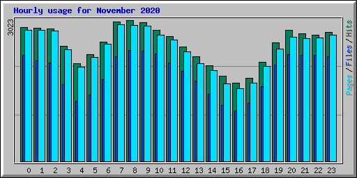 Hourly usage for November 2020
