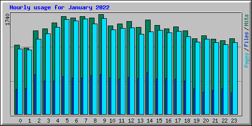 Hourly usage for January 2022