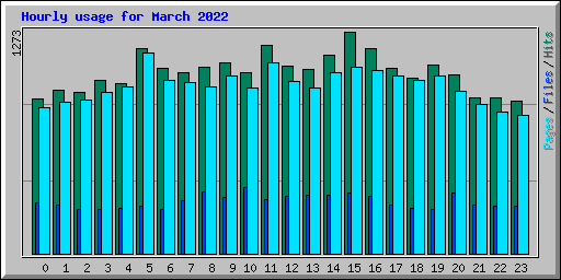 Hourly usage for March 2022