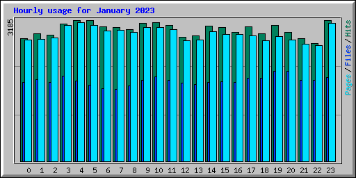 Hourly usage for January 2023