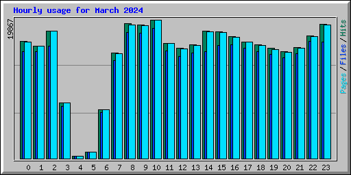Hourly usage for March 2024