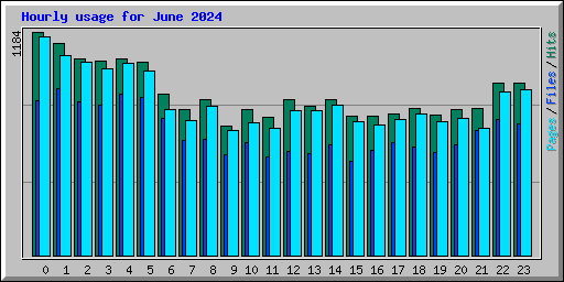 Hourly usage for June 2024