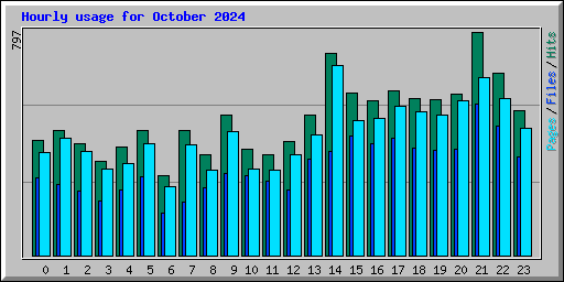 Hourly usage for October 2024