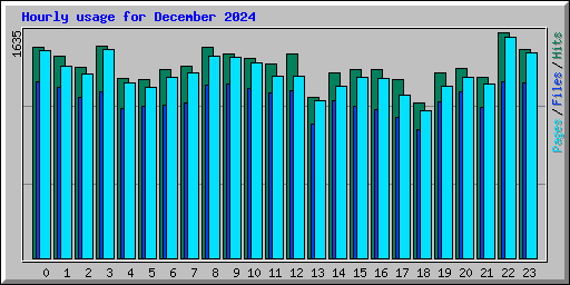 Hourly usage for December 2024