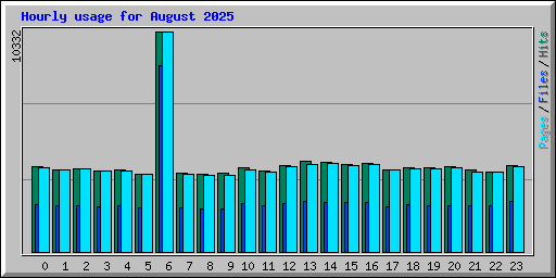 Hourly usage for August 2025